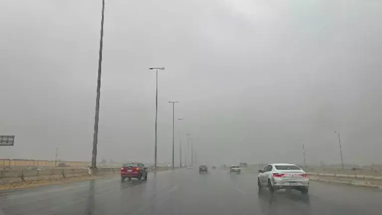 أمطار على السواحل الشمالية وشبورة مائية.. الأرصاد تكشف تفاصيل طقس الساعات المقبلة