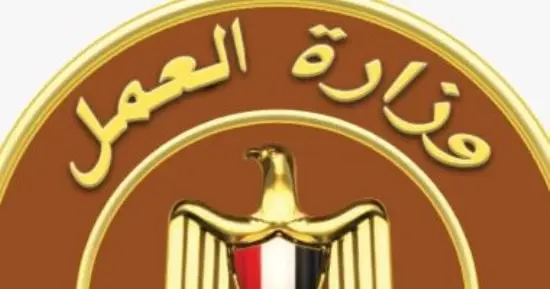 فرص عمل جديدة في مجال الأمن والحراسة برواتب تصل لـ11 ألف جنيه