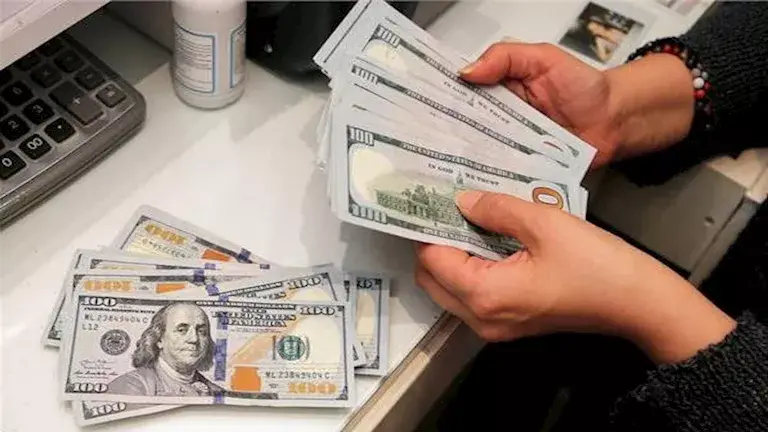 سعر الدولار مقابل الجنيه مع بداية تعاملات الثلاثاء