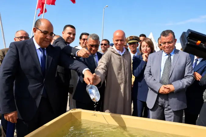 سيدي إفني تحتضن إطلاق أول مشروع نموذجي لتربية الأسماك في أعالي البحار باستثمار 50 مليون درهم