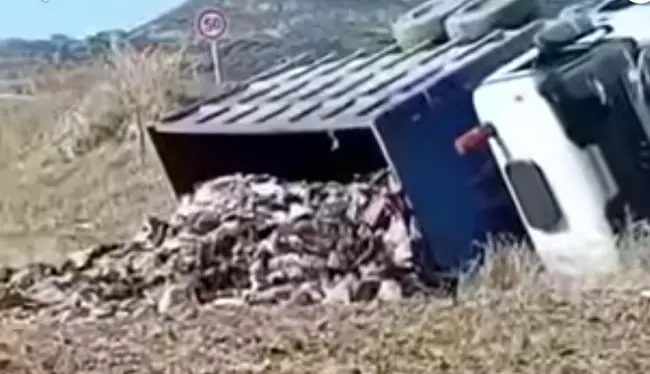 منزل بوزلفة.. انقلاب شاحنة بالطريق الجهوية عدد 43 بين منزل بوزلفة ومنزل تميم