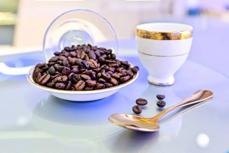 مائدة 2036.. التكنولوجيا تعيد ابتكار طعامنا