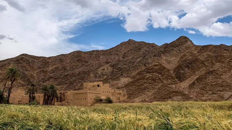 نجران تبرز بتنوعها البيئي من الجبال إلى الربع الخالي في اليوم العربي للبيئة