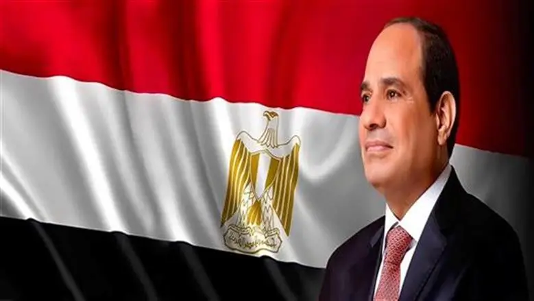 الرئيس السيسي: «محدش قدر يقف قدام المصريين لما قرروا التغيير في 2013»