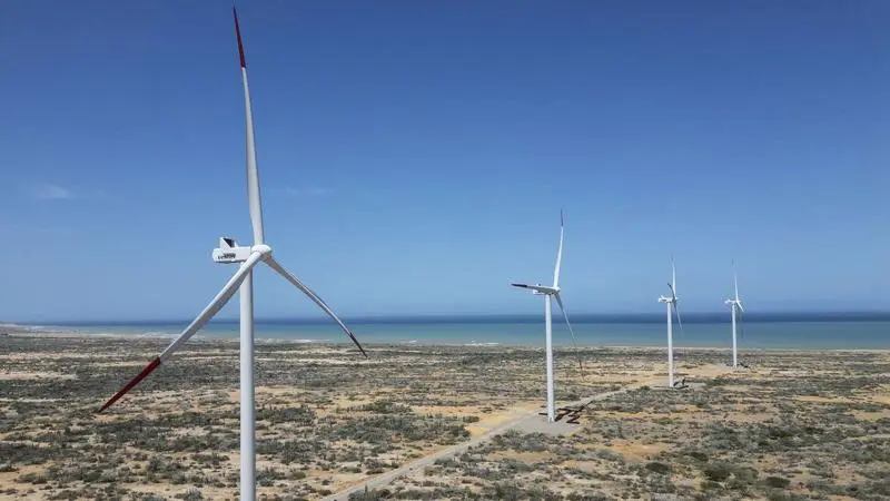 إقليم الجنوب.. بوصلة الاستثمار بالمملكة وحوافز حكومية داعمة
