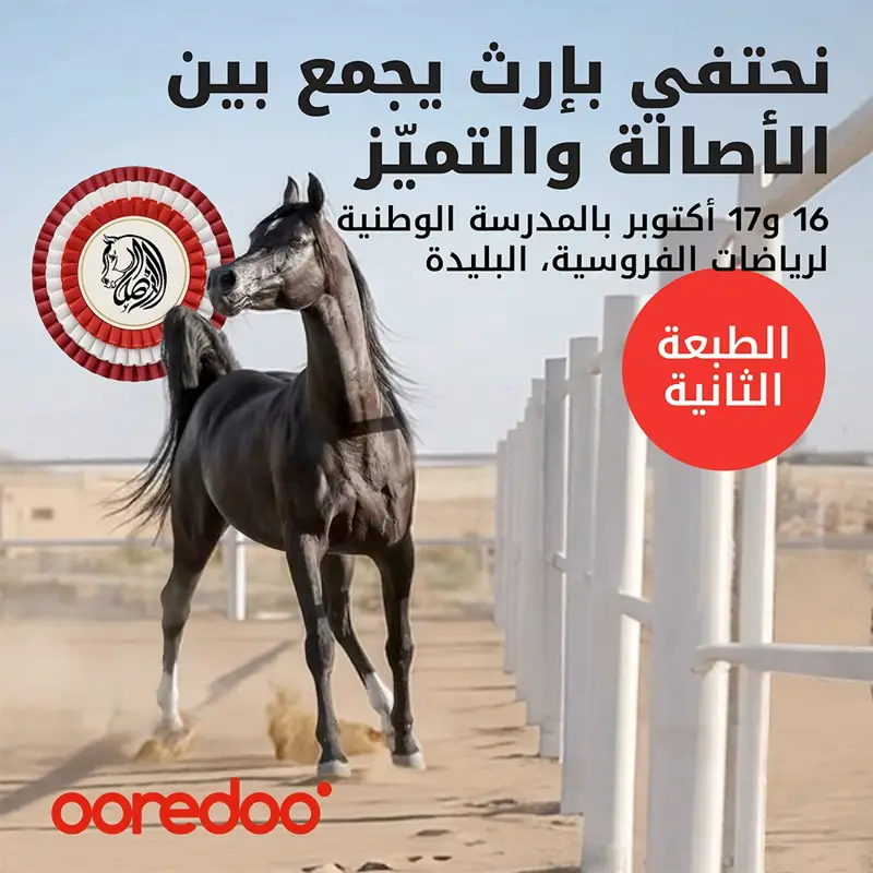 أريدُ الجزائر ترافق الطبعة الثانية من البطولة الوطنية للخيل العربي