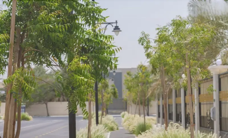 ب 29 فعالية.. إطلاق البرنامج التوعوي لموسم التشجير الثالث لدعم «السعودية الخضراء»