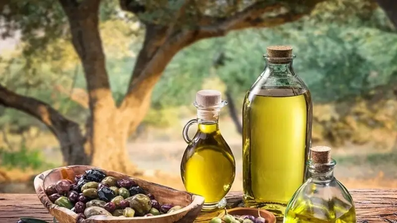 عائدات زيت الزّيتون التّونسي تتجاوز 4 مليارات دينار إلى موفّى سبتمبر
