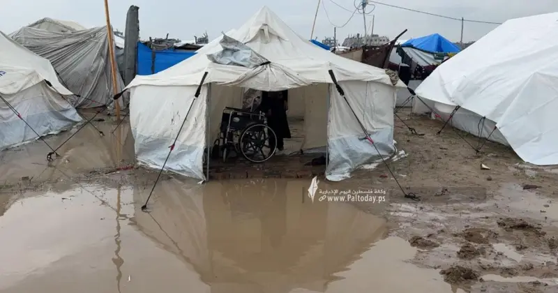 المنظمة الدولية للهجرة: جميع سكان غزة بحاجة إلى مأوى لمواجهة مخاطر الشتاء