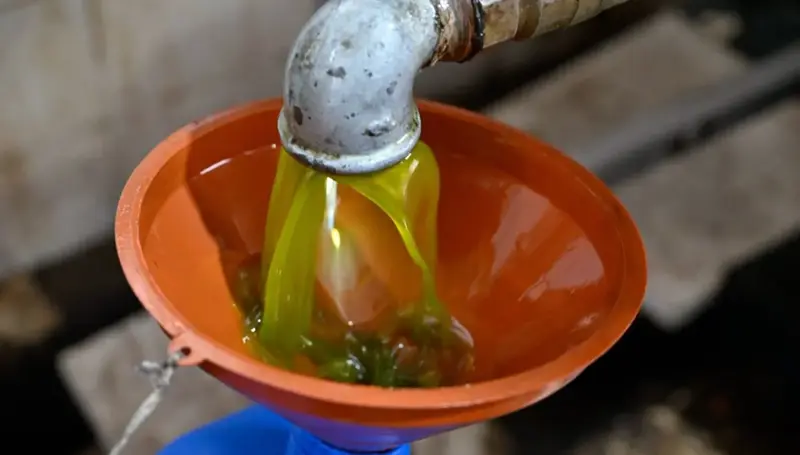 زيت إسطنبول!