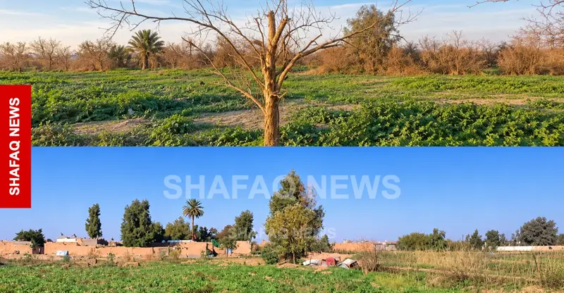 شفق نيوز..(مقال) قرية "دارا- خليل فتح الله" شاهدة على 51 عاماً من تهجير كورد خانقين