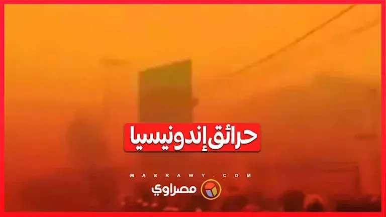 حرائق الغابات تجتاح إندونيسيا.. والدخان يصل إلى دول مجاورة