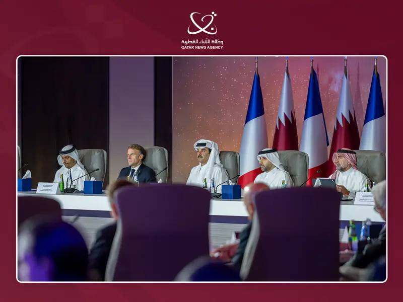 خلال قمة الرؤساء التنفيذيين لصناديق الثروة السيادية.. الرئيس الفرنسي: القطاع المالي شريك أساسي في مواجهة التغير المناخي