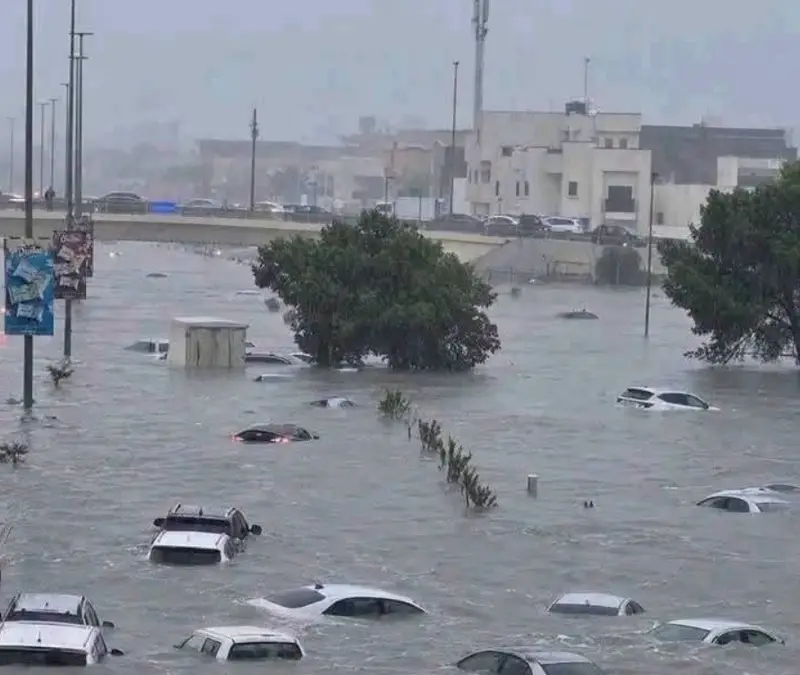دعت البلديات للاستعداد.. باحثة بيئية تدق ناقوس الخطر بشأن السيول وتجمعات المياه في ليبيا - اخبار ليبيا