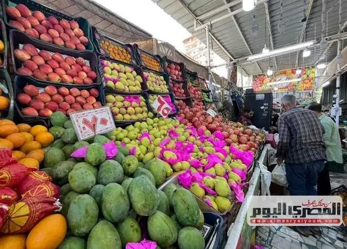 البصل بـ 20 جنيها.. أسعار الخضار والفاكهة في أسواق الشرقية اليوم الإثنين 19 أكتوبر 2026