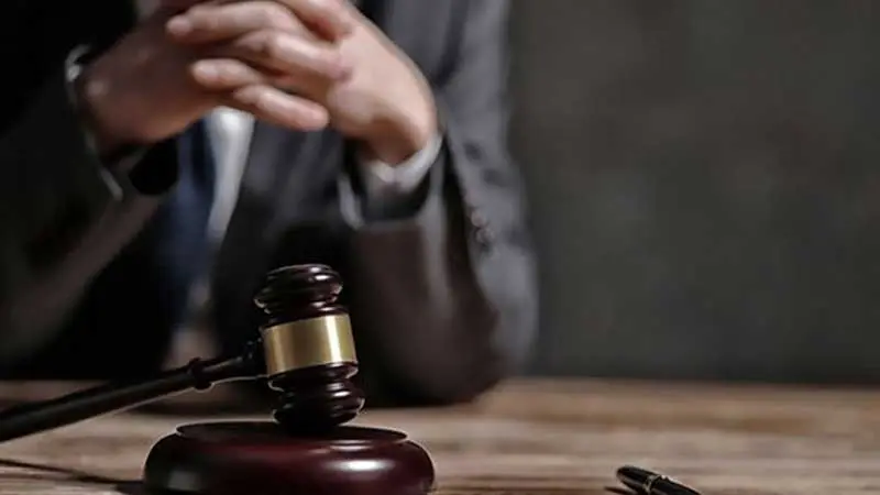 فيديو يوثق شابان يعرّضان قطة للنهش من كلاب ضالّة.. النيابة تحقق