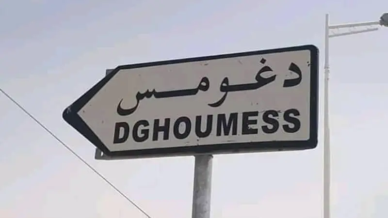 دغومس / دقاش يوم مفتوح لتمتين علاقة الطفل بالمحيط الطبيعي