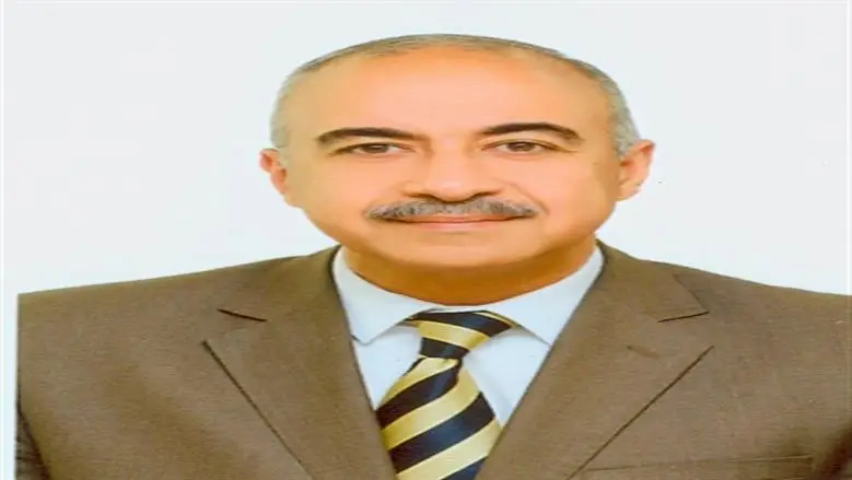 الرئيس السابق لـ«الطاقة المتجددة»: إدارة أحمال الذروة أبرز تحديات قطاع الكهرباء بمصر