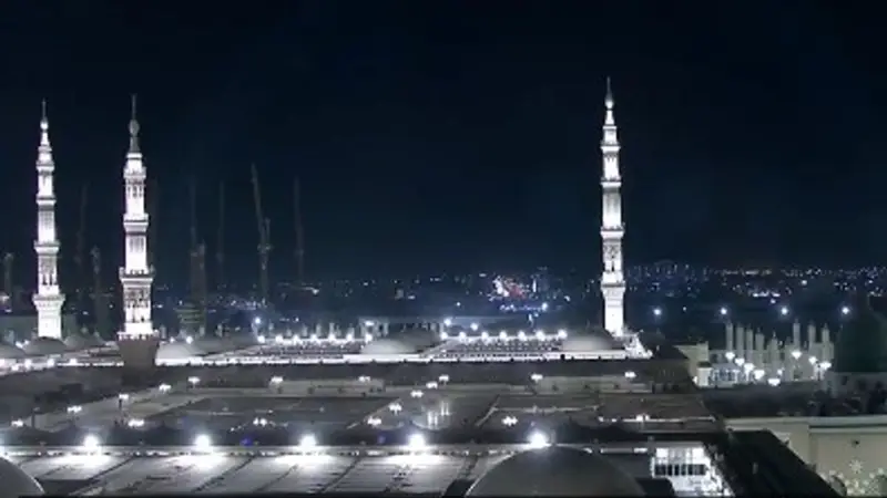 عضو «كبار العلماء»: استهداف أمن الحرمين وتعريض زوارهما للخطر عدوان محرم